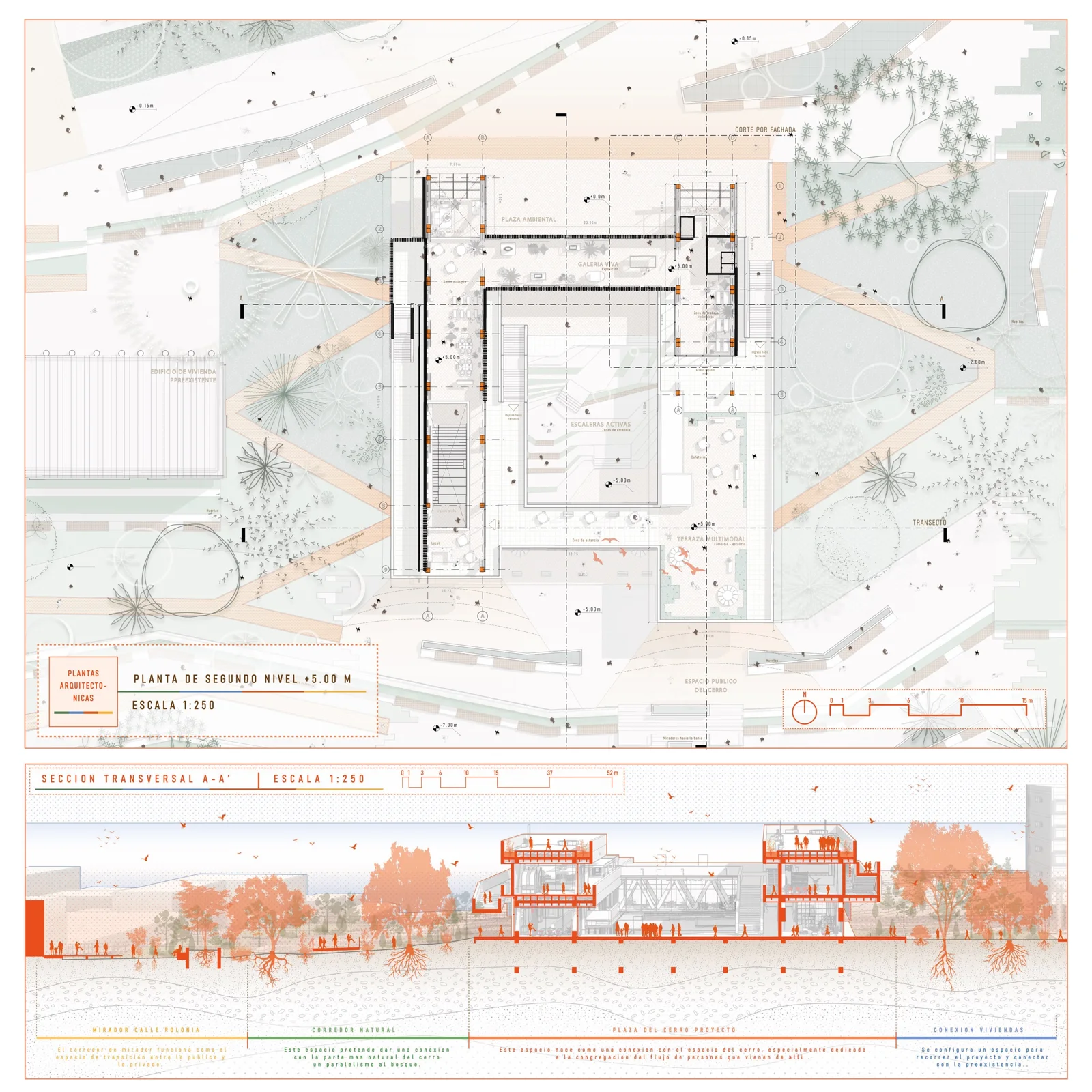 Board with a cross section floor plan and a landscape section strip with trees